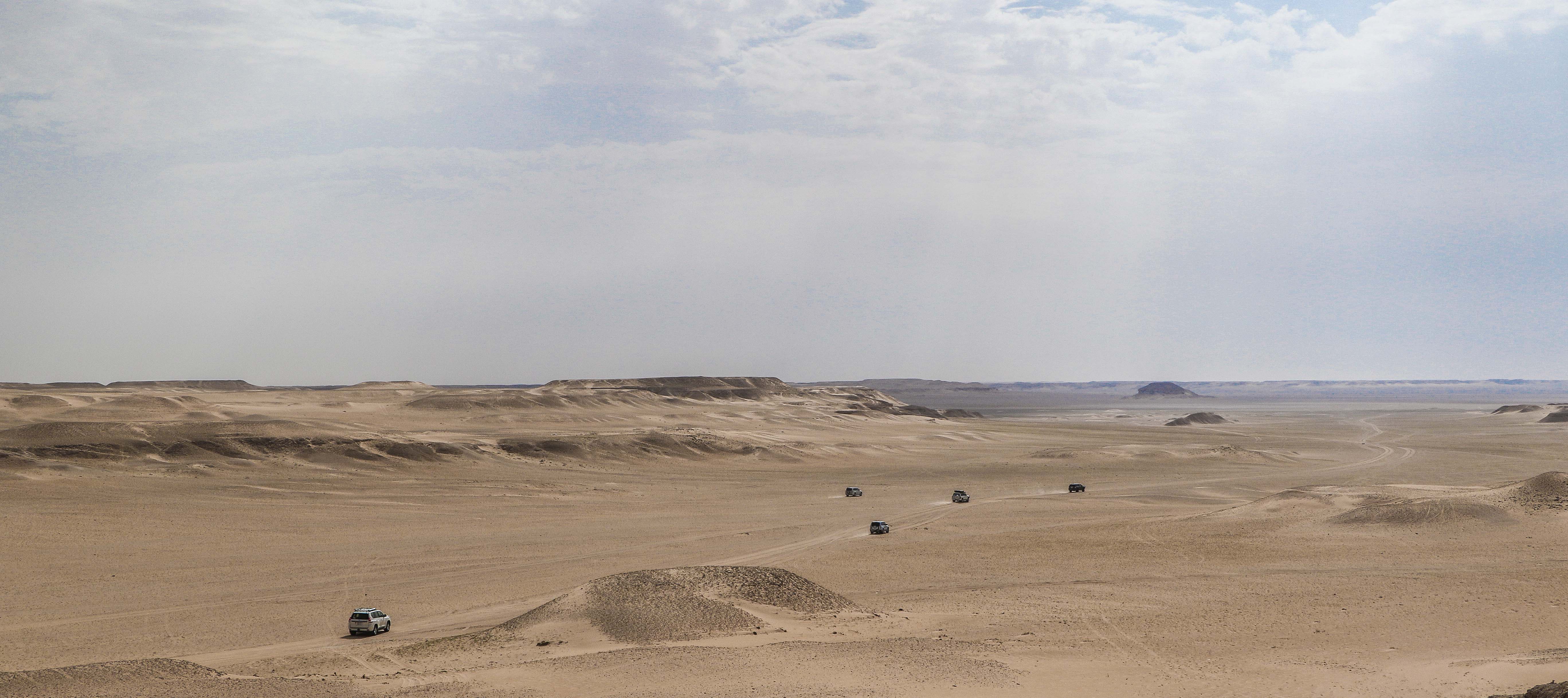 Typical landscape of Al-Ahsa Region with its wonderful shades of limestone (photo: F. Egal)